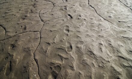 Comment fabriquer un sol en terre crue?