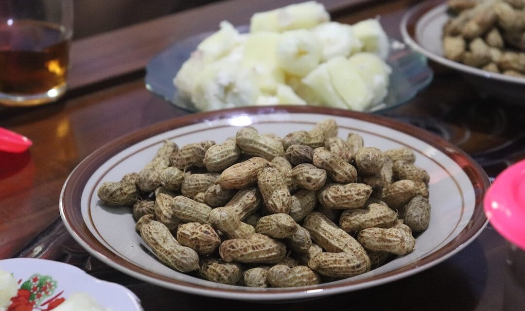 Comment cultiver un cacahuetier ?