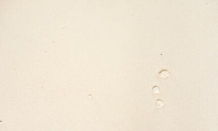 Comment faire du beige ?