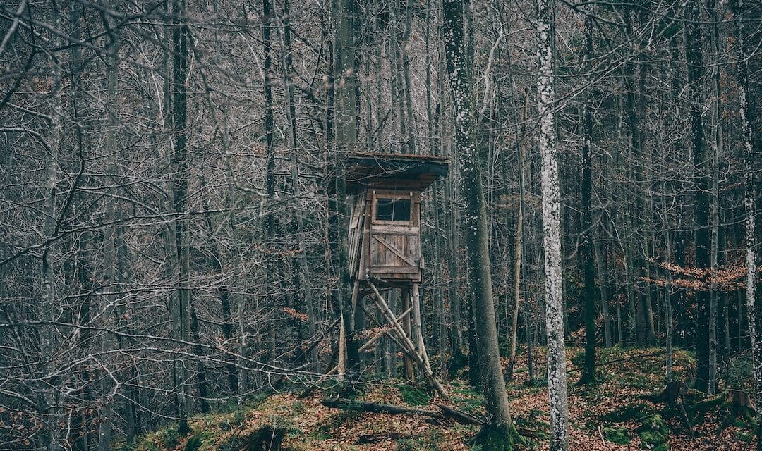 Comment faire une cabane en palette&nbsp;?