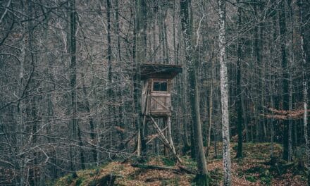 Comment faire une cabane en palette?