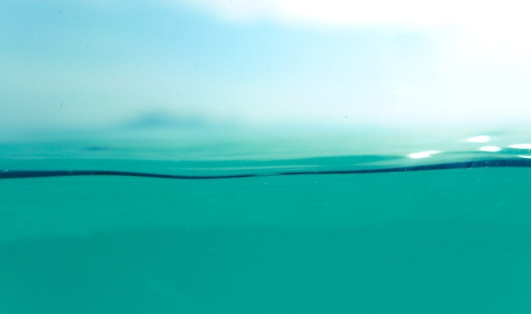 Quelle est la meilleure façon de nettoyer l’eau laiteuse d’une piscine ?