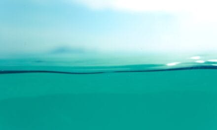 Quelle est la meilleure façon de nettoyer l'eau laiteuse d'une piscine