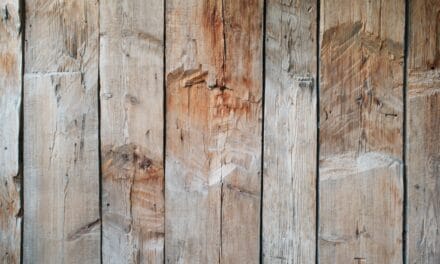 Comment dégriser facilement votre bois ?