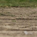 Comment aplanir un terrain bosselé ?